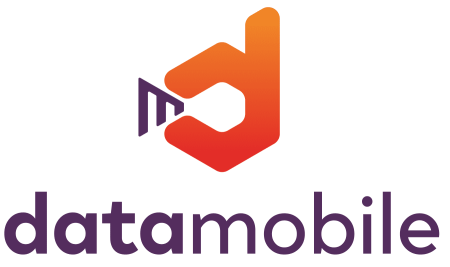 DataMobile, версия Online - подписка на 6 месяцев фото