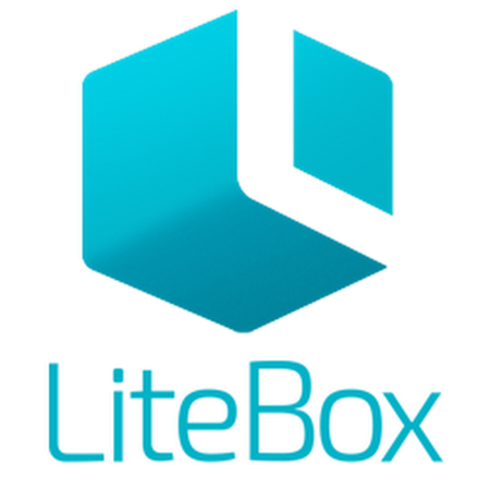 Неисключительное право на использование программы "LiteBox" сроком на 1 год фото